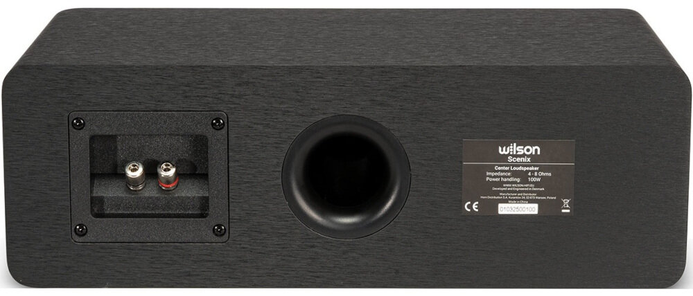 Kino domowe DENON AVR-X1800H + WILSON Scenix 5.0 Hi-Res Audio 192 kHz 24 bity, głośnik od tyłu na białym tle