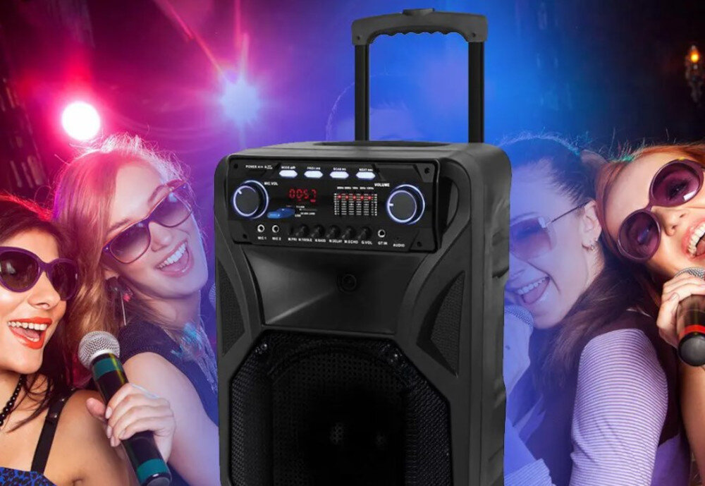 Power audio MANTA SPK 5021 Pro - Karaoke i więcej możliwości