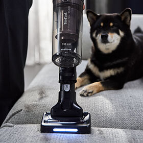 Odkurzacz X-Force Flex 16.60 AeroSpin Aqua TY9CD9 z mini szczotką czyści kanapę. W tle pies.