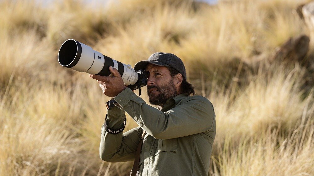 Aparat bezlusterkowy SONY Alpha A6700 759-polowy system AF śledzenie ludzi, zwierząt, ptaków, owadów, a także pojazdów 