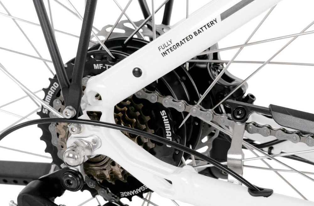 Rower elektryczny PROECO Wave AN 1.0 M19 28 cali Biały zbliżenie na silnik wytrzymały bezszczotkowy silnik renomowanej marki ANANDA moc 250 W cicha i wydajna praca umiejscowiony w tylnej piaście niezauważalny