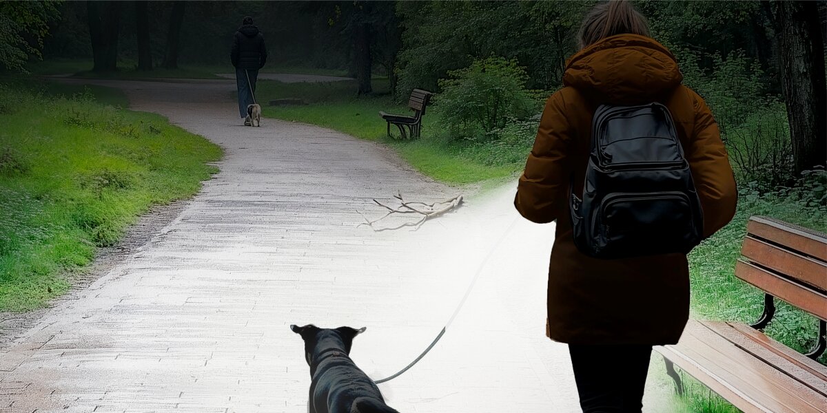 Latarka HAMA FLX1000 Grafitowy, latarka, solidność, outdoor, przygoda, kobieta przemirza park z psem przy pomocy włączonej latarki