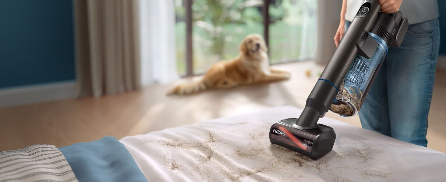 XC8157 Standard 4 3 Desktop