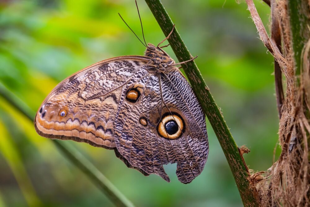 Ujęcie z bliska i tele SIGMA 20–200mm F3.5–6.3 DG Contemporary   w praktyce