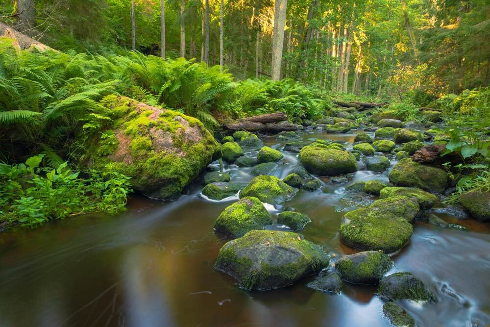 Przykładowe ujęcia szerokie i tele wykonane SIGMA 20–200mm F3.5–6.3 DG Contemporary  