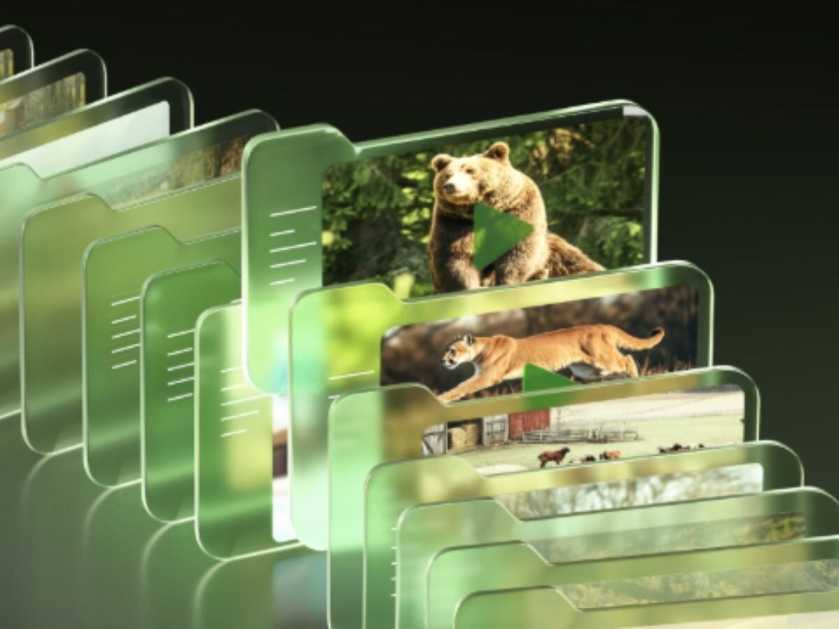 Fotopułapka REOLINK Camovue Talon Series T130, sim, karta, slot, śledzenie, wizualizacja zapisu danych z karty sim