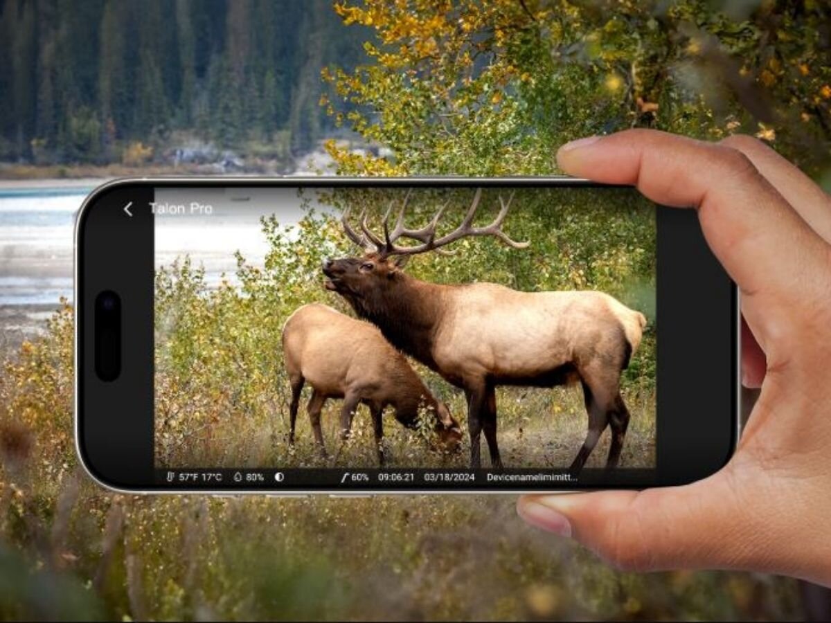 Fotopułapka REOLINK Camovue Talon Series T130, zdalne, apliakcja, CAMOVUE, nagrania, w tle las, dłoń trzyma smartfona i ogląda obraz na żywo z fotopułapki