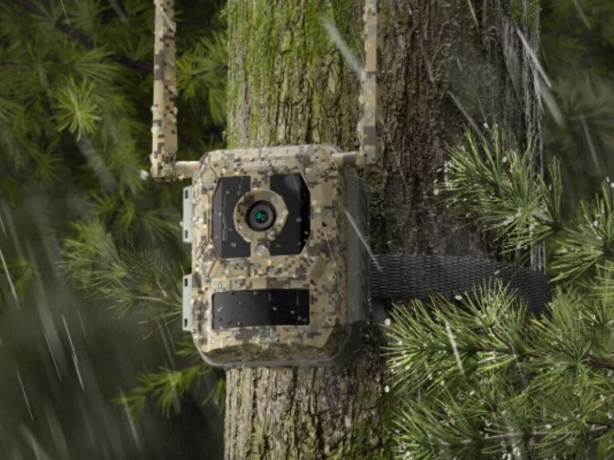 Fotopułapka REOLINK Camovue Talon Series T130, zastosowanie, obserwacja, przyroda, bezpieczeństwo, w tle las, fotopułapka zamontowana do drzewa opaską