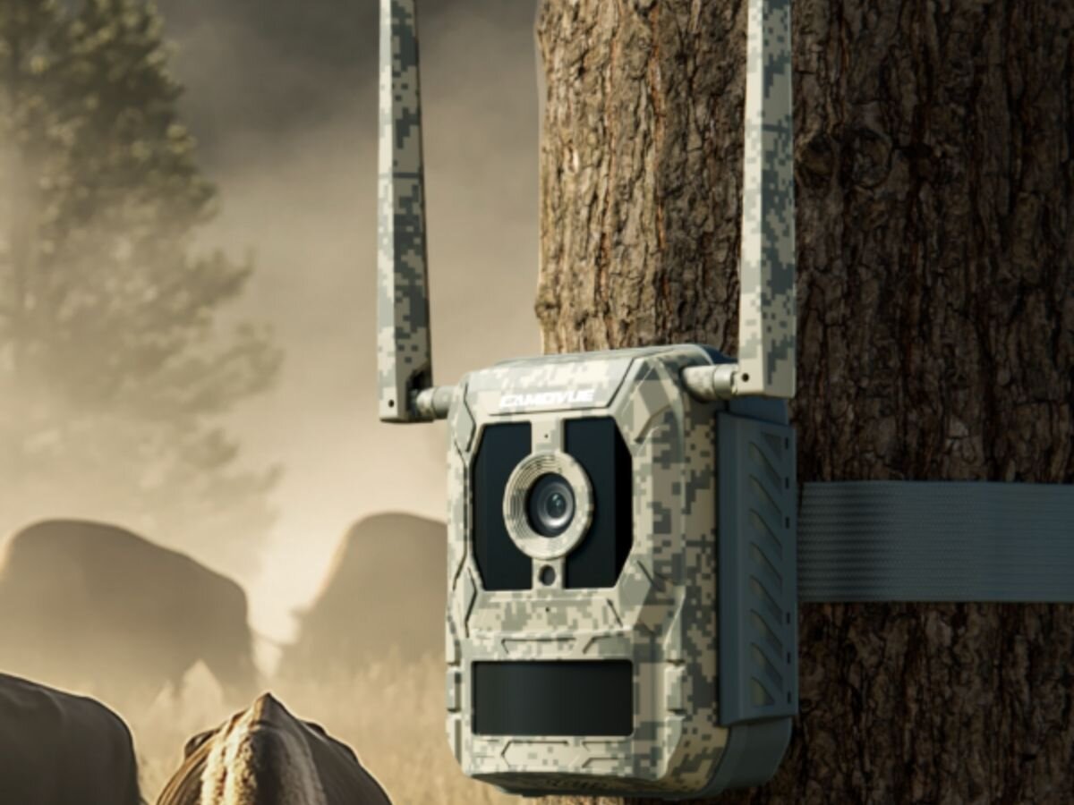 Fotopułapka REOLINK Camovue Talon Series S130, monitoring, las, zwierzyna, pułapka, fotopułapka przytwierdzona opaską do drzewa