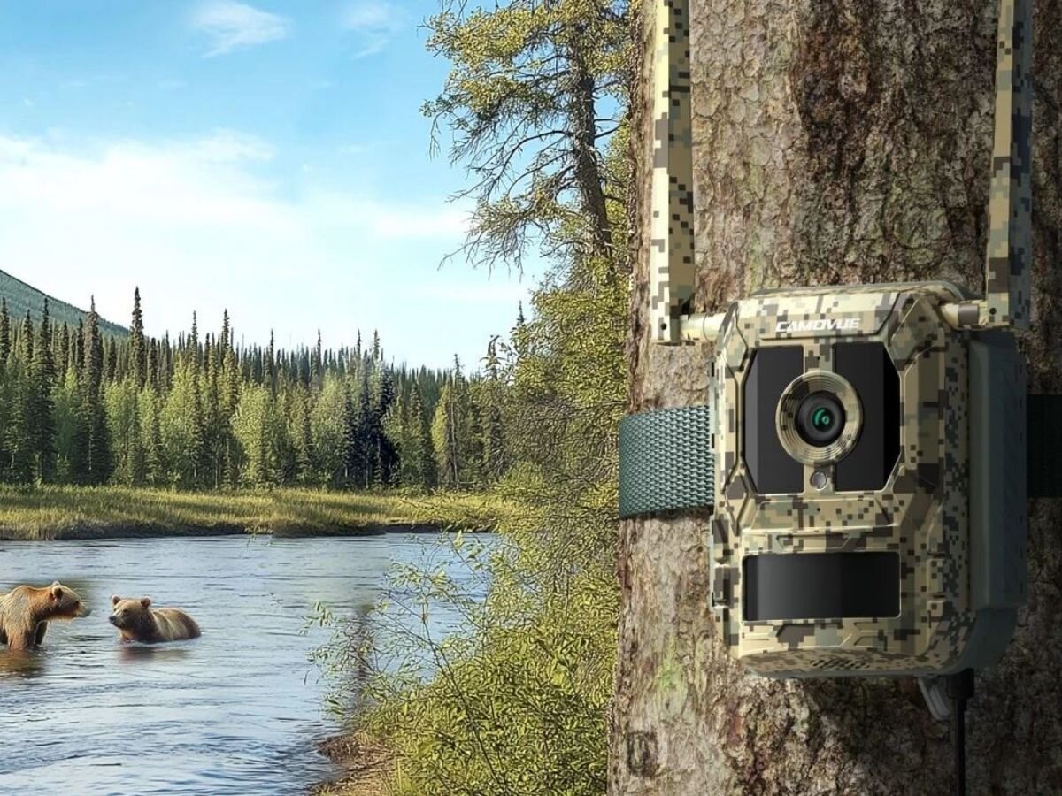 Fotopułapka REOLINK Camovue Talon Series S130, rozdzielczość, ostra, szczegółowa, odwzorowanie, w tle płynąca rzeka i niedźwiedzie na pierwszym planie fotopułapka zamontowana do drzewa