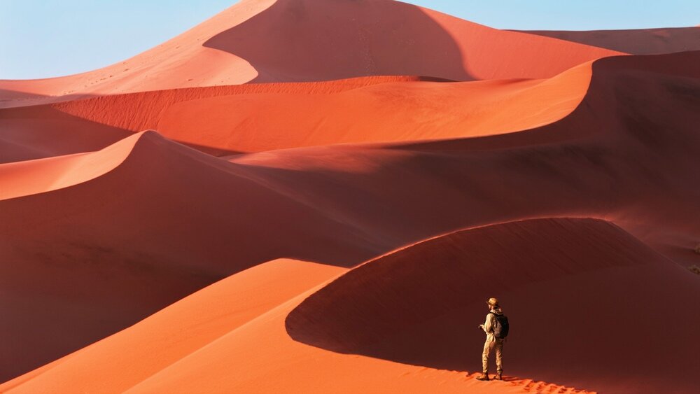 Aparat bezlusterkowy SONY Alpha A7R IV A Procesor BIONZ X  CMOS 15-stopniowy zakres dynamiczny 