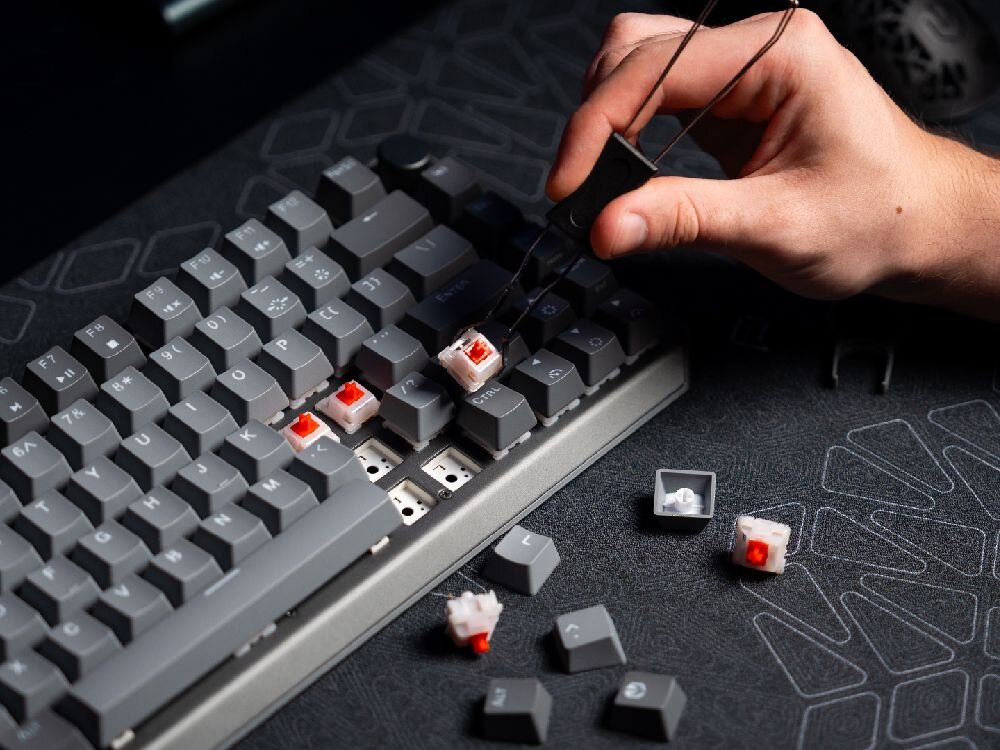 ENDORFY Thock V2 75% linearne mechaniczne przełączniki ENDORFY Red ENDORFY Yellow fabrycznie nasmarowane półprzezroczysta obudowa wbudowanego ARGB  -  Wymiana przełączników w klawiaturze za pomocą dedykowanego narzędzia