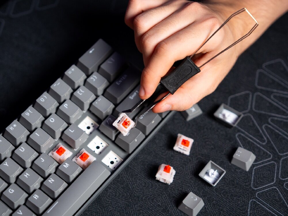 ENDORFY Thock V2 Compact linearne mechaniczne przełączniki ENDORFY Red ENDORFY Yellow fabrycznie nasmarowane półprzezroczysta obudowa wbudowanego ARGB  -  Wymiana przełączników w klawiaturze za pomocą dedykowanego narzędzia