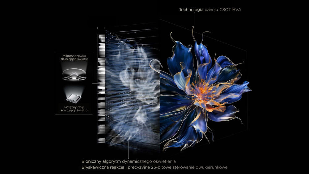Telewizor TCL 55C69KS QD-MiniLED kontrast głęboka czerń, niebieski kwiat na czarnym tle