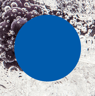 Dwie osoby wznoszą toast kieliszkami z gazowanymi napojami, jeden z plasterkiem brzoskwini, drugi z cytryną, na jasnym tle.