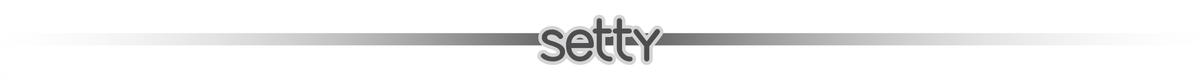 Logo z napisem \'setty\' umieszczone na tle z gradientem od białego do szarego.