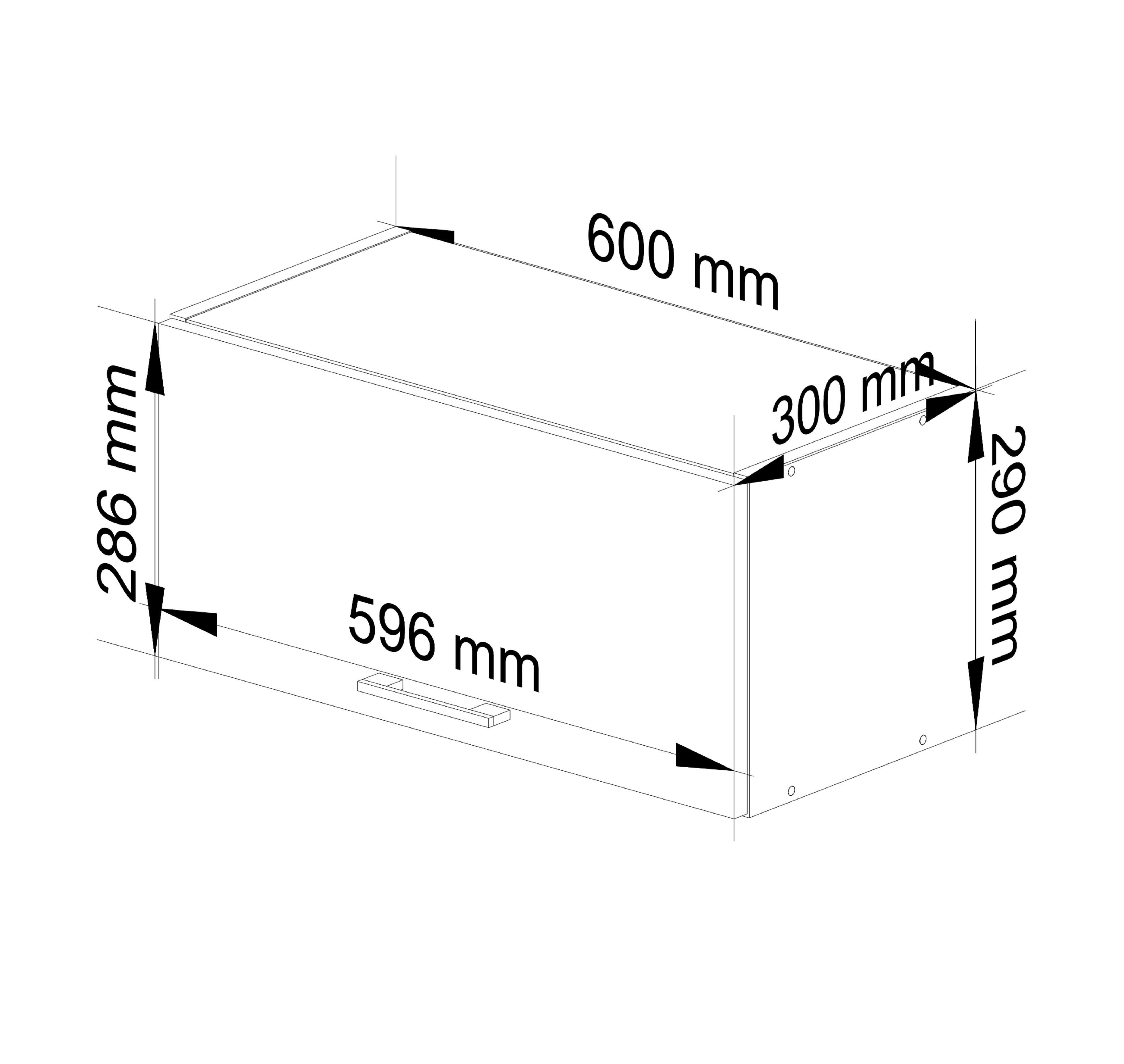 Rysunek techniczny szafki kuchennej z wymiarami: 600 mm szerokości, 300 mm głębokości, 290 mm wysokości, oraz 596 mm i 286 mm na innych krawędziach.