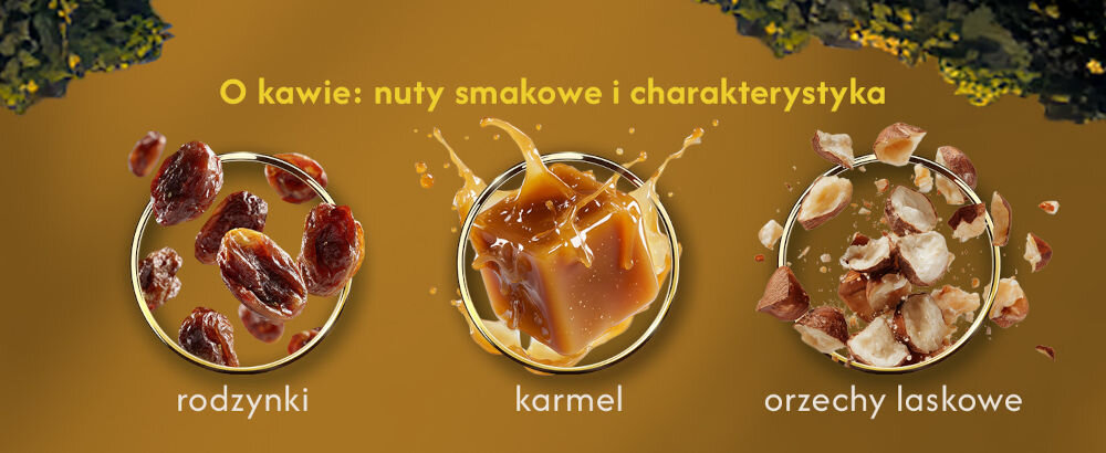 Kawa ziarnista BLUE ORCA COFFEE Italiana Oro Arabica 1 kg napis O kawie: nuty smakowe i charakterystyka rodzynki karmel orzechy laskowe, nad każdym opisem grafika przedstawiająca kilka rodzynek, kostkę karmelu i wyłupane orzechy