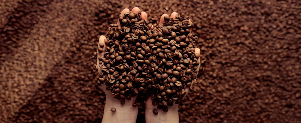 Kawa ziarnista BLUE ORCA COFFEE Italiana Oro Arabica 1 kg ziarna kawy trzymane na otwartych dłoniach w tle przestrzeń wypełniona ziarnami kawy