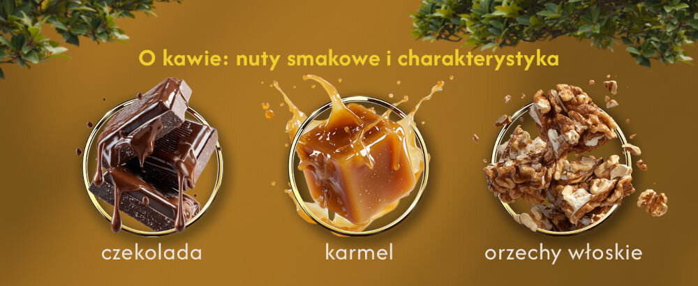 Kawa ziarnista BLUE ORCA COFFEE Italiana Crema 1 kg napis O kawie: nuty smakowe i charakterystyka czekolada karmel orzechy włoskie, nad każdym opisem grafika przedstawiająca kostkę czekolady, kostkę karmelu i wyłupane orzechy