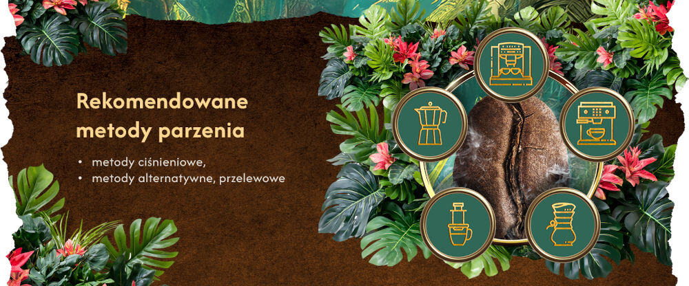 Kawa ziarnista BLUE ORCA COFFEE Continents 1 Latin America Arabica 1 kg Rekomendowane metody parzenia - metody ciśnieniowe, metody alternatywne, przelewowe
