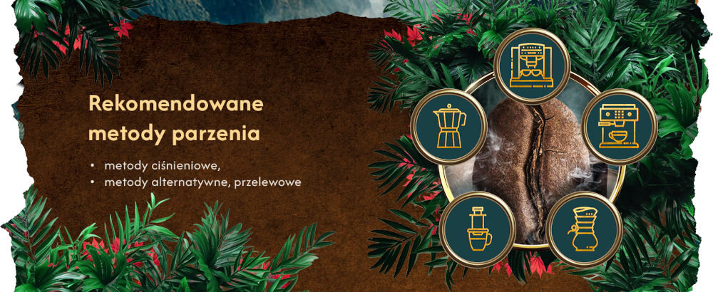 Kawa ziarnista BLUE ORCA COFFEE Continents 2 Latin America & Africa 1 kg Rekomendowane metody parzenia - metody ciśnieniowe, metody alternatywne, przelewowe