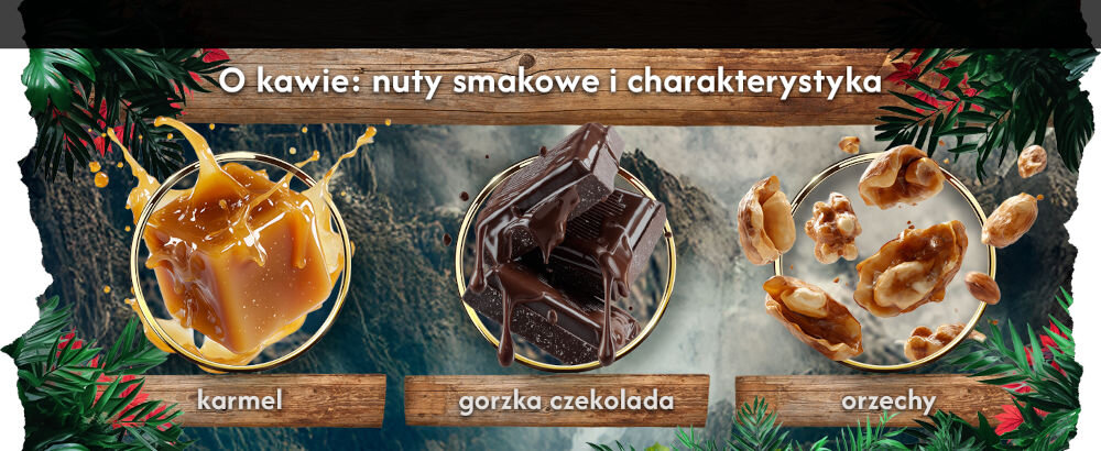 Kawa ziarnista BLUE ORCA COFFEE Continents 2 Latin America & Africa 1 kg napis O kawie: nuty smakowe i charakterystyka karmel gorzka czekolada orzechy, nad każdym opisem grafika przedstawiająca kostkę karmelu kostki topiącej się czekolady i wyłupane orzechy