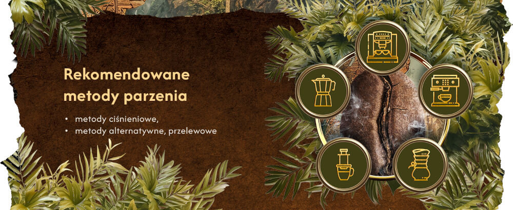 Kawa ziarnista BLUE ORCA COFFEE Continents 3 Latin America Africa & Asia Africa & Asia 1 kg Rekomendowane metody parzenia - metody ciśnieniowe, metody alternatywne, przelewowe