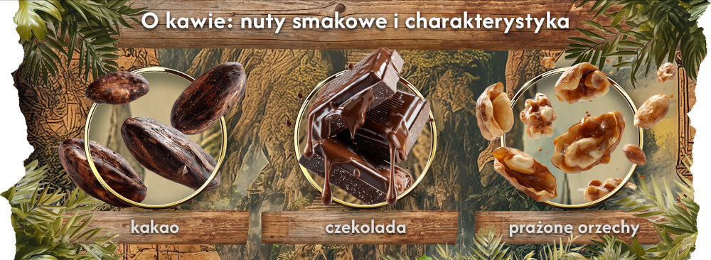 Kawa ziarnista BLUE ORCA COFFEE Continents 3 Latin America Africa & Asia Africa & Asia 1 kg napis O kawie: nuty smakowe i charakterystyka kakao czekolada prażone orzechy, nad każdym opisem grafika przedstawiająca ziarna kakao kostki topiącej się czekolady i wyłupane orzechy