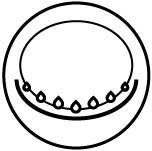 samsung-plyta-indukcyjna ikonki virtual-flame-aea1