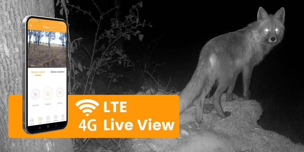 Na czarno-białym zdjęciu widać lisa stojącego na ziemi w nocy. Obok znajduje się grafika przedstawiająca smartfon z aplikacją oraz napis \'LTE 4G Live View\'.