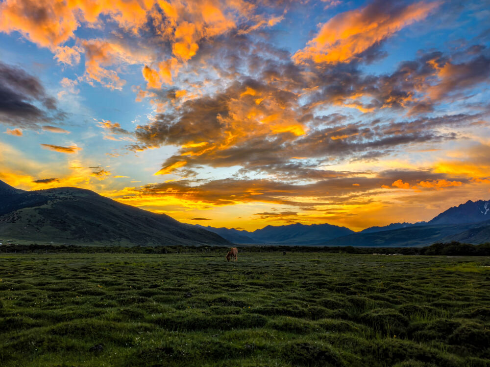 Smartfon HUAWEI Pura 80 Ultra 16/512GB 6.8 120Hz