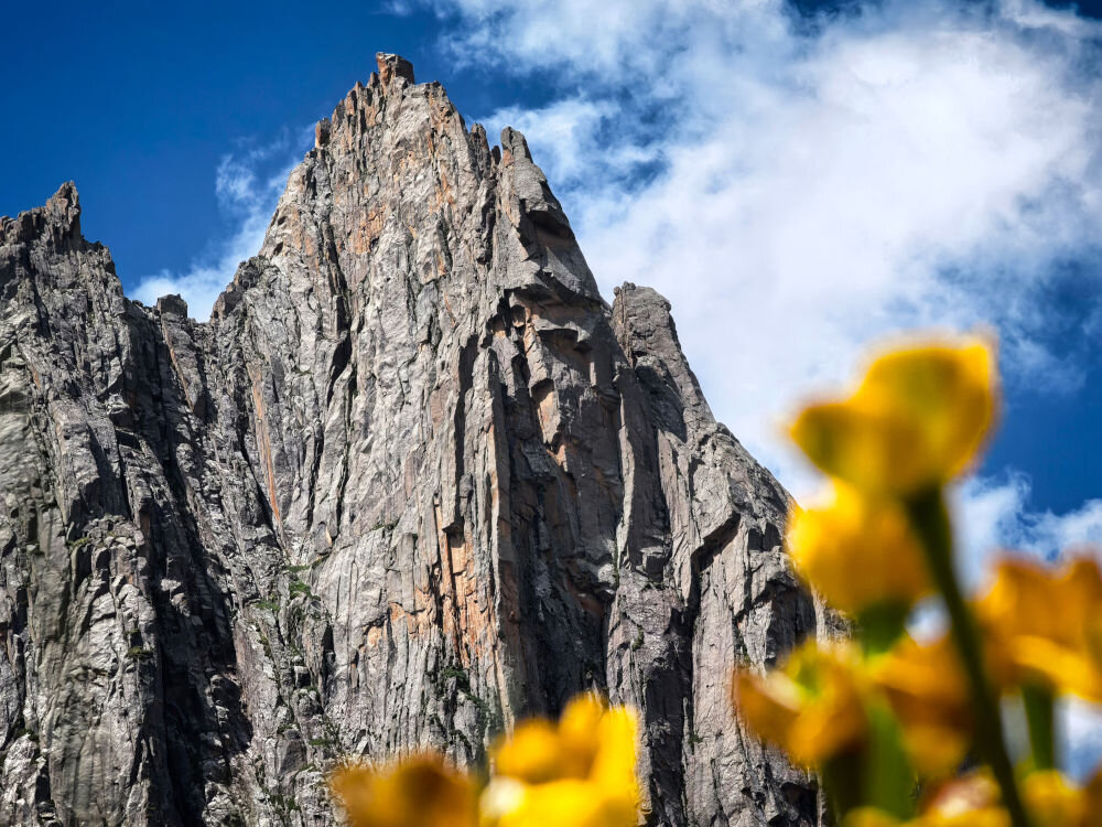 Smartfon HUAWEI Pura 80 Ultra 16/512GB 6.8 120Hz