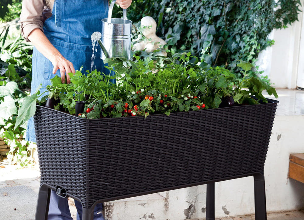 Donica KETER Easy Grow 230298 120 L Antracytowy donica widoczna od boku po skosie wypełniona roślinami osoba podlewa rośliny do użytku na balkonie tarasie w ogrodzie na działce niewielkie wymiary 114 x 49,3 x 75,7 cm do uprawy kwiatów ziół i warzyw podwyższone nogi