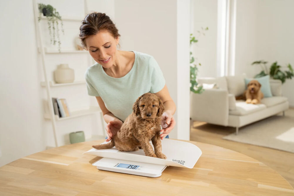 Waga dla zwierząt BEURER Polly osoba ważąca małego pieska siedzącego na wadze