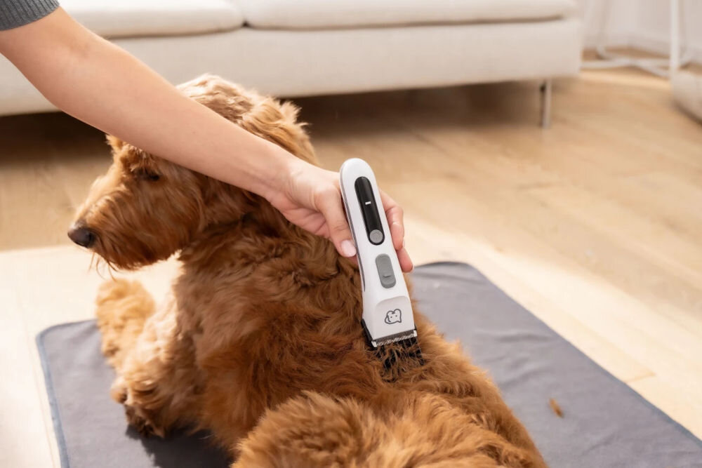 Trymer do strzyżenia zwierząt BEURER Fluffy osoba skrzygąca duzgo psa leżącego na podłodze