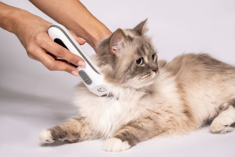 Trymer do strzyżenia zwierząt BEURER Fluffy osoba strzygąca leżącego kota