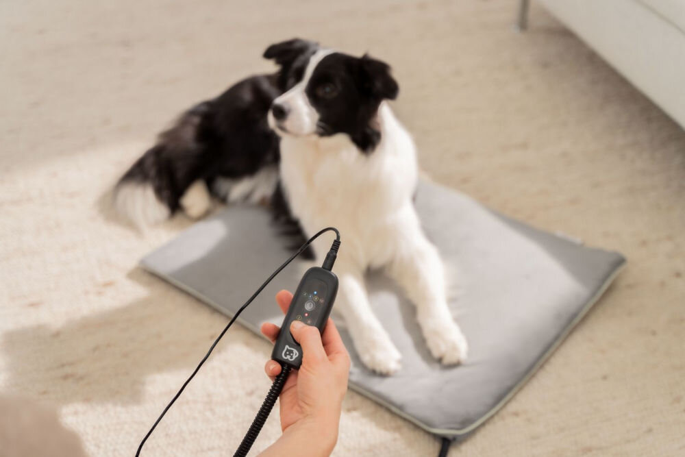 Mata podgrzewana BEURER Sammy Zbliżenie na rękę trzymającą kontroler podgrzewanej maty dla zwierząt. Na rozmywanym tle widoczna jest mata, a na niej siedzi czarno-biały pies (Border Collie). Kontroler wyświetla cyfrowe ustawienia.