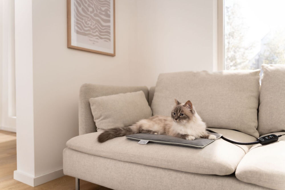 Mata podgrzewana BEURER Lilli Kot o jasnym umaszczeniu, z puszystym ogonem i niebieskimi oczami, leży na szarej podgrzewanej macie dla zwierząt umieszczonej na beżowej kanapie. Obok maty widoczny jest kontroler z kablem.