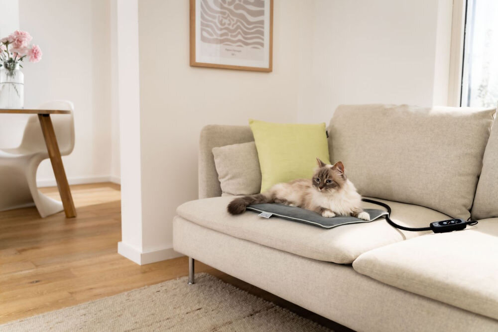 Mata podgrzewana BEURER Lilli Kot o jasnym umaszczeniu z puszystym ogonem leży na szarej podgrzewanej macie dla zwierząt na beżowej kanapie. W tle widać fragment jasnego pomieszczenia z drewnianym stołem i wazonem z różowymi kwiatami.