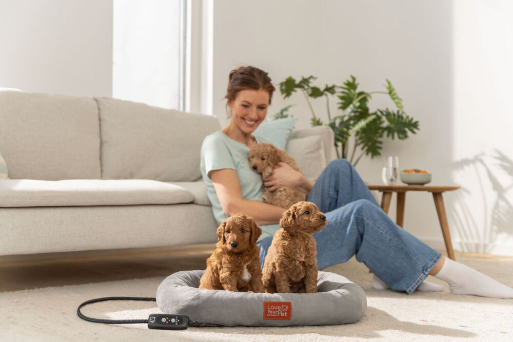 Legowisko uniwersalne BEURER Kira Szary 58 x 50 cm dwa małe pieski na legowisku w tle uśmiechnięta osoba z trzecim pieskiem na kolanach