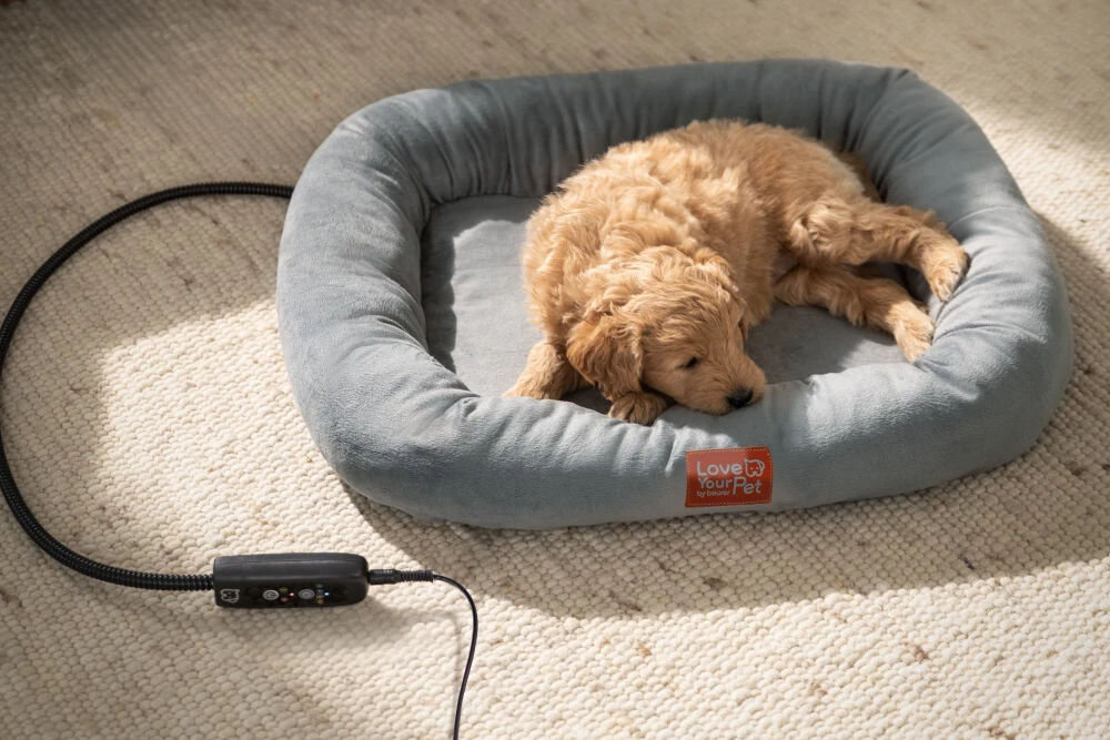 Legowisko uniwersalne BEURER Kira Szary 58 x 50 cm szczeniaczek śpiący na legowisku ułozonym na podłodze widoczny kabel z pilotem