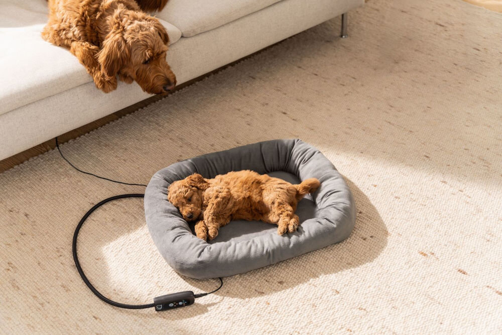 Legowisko uniwersalne BEURER Kira Szary 58 x 50 cm mały piesek leżący na legowisku na podłodze widoczny kabel z pilotem w tle duży pies