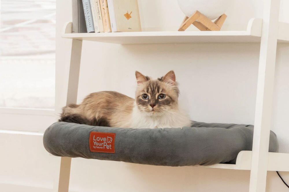 Legowisko uniwersalne BEURER Kira Szary 58 x 50 cm kot leżący na legowisku na półce