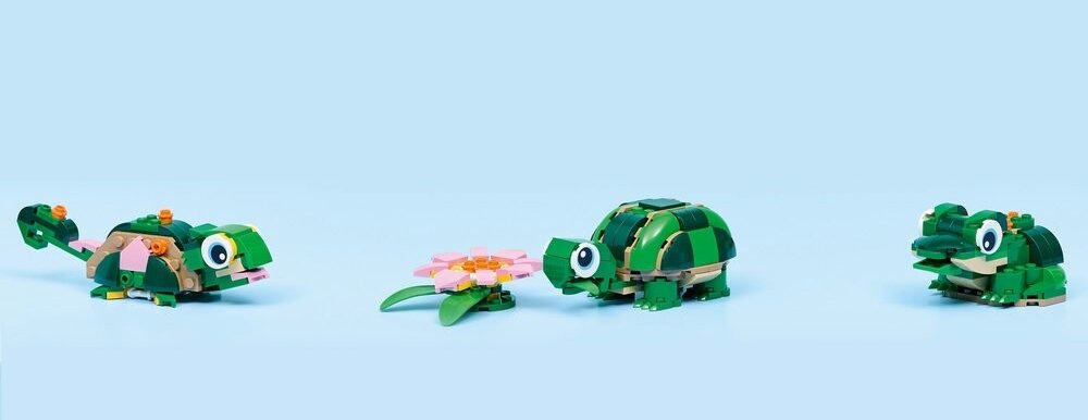 LEGO 31377 Creator Żółw i kwiat lilii wodnej    kv lifestyle początek opisu sekcja nagłówkowa