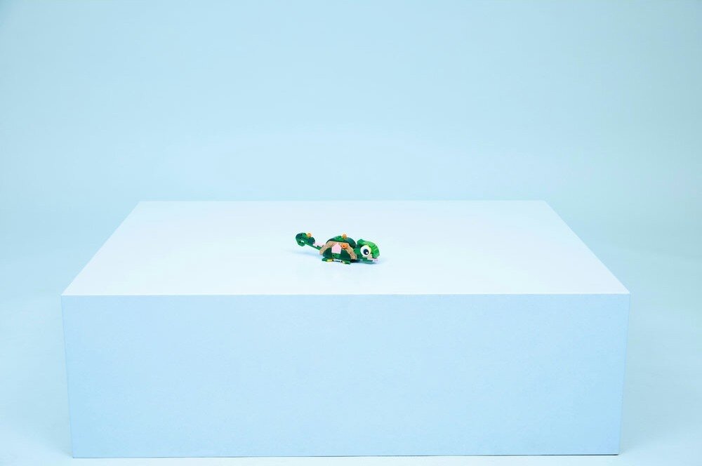 LEGO 31377 Creator Żółw i kwiat lilii wodnej piękny różowy kwiat lilii wodnej  