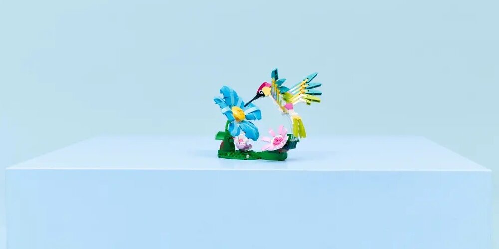 LEGO 31384 Creator Dzikie zwierzęta kolorowy koliber   kv lifestyle początek opisu sekcja nagłówkowa