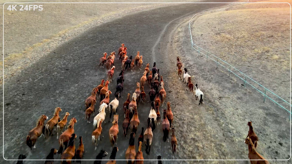 Kamera sportowa SJCAM SJ10 X Czarny jakość rozdzielczość kąt widzenia płynność matryca
