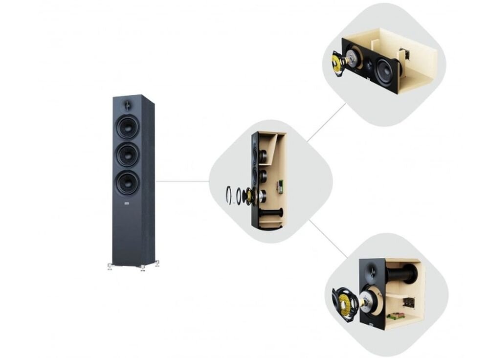 ELAC Debut 3.0 B5.3 kolumna głośnikowa wzmocniona obudowa redukcja drgań czysty dźwięk, schemat budowy oraz przekroje techniczne kolumn głośnikowych