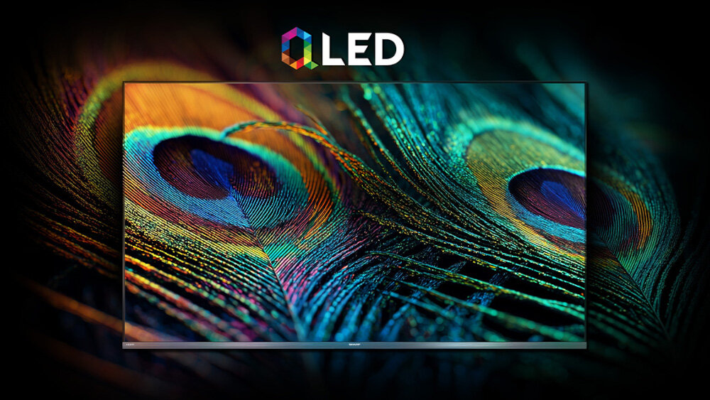 Telewizor SHARP 50JP7765E QLED szeroka paleta barw naturalne kolory wysoka jakość, telewizor od frontu na czarnym tle wyświetlający obraz pawich piór